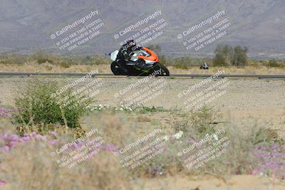 media/Feb-04-2023-SoCal Trackdays (Sat) [[8a776bf2c3]]/Turn 15 Inside Blooming (1050am)/